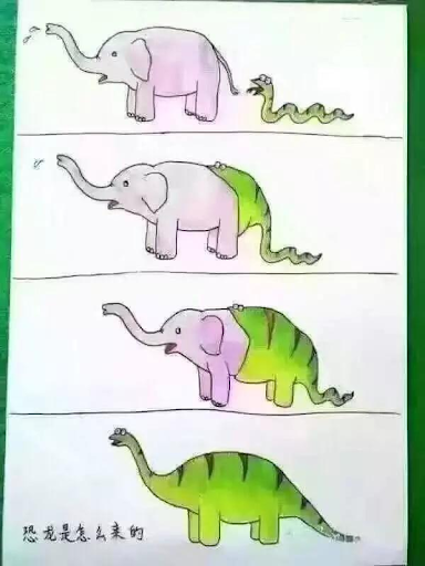 elephant-snake